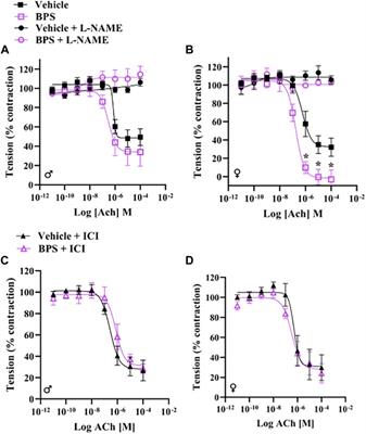 Prenatal exposure to a low dose of BPS causes sex-dependent alterations to vascular endothelial function in adult offspring